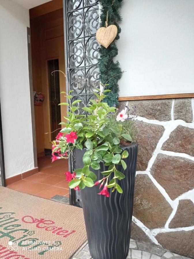 Hotel Millefiori Vigo di Fassa Luaran gambar